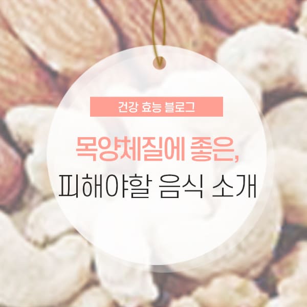 목양체질 정의 및 음식 소개 콘텐츠