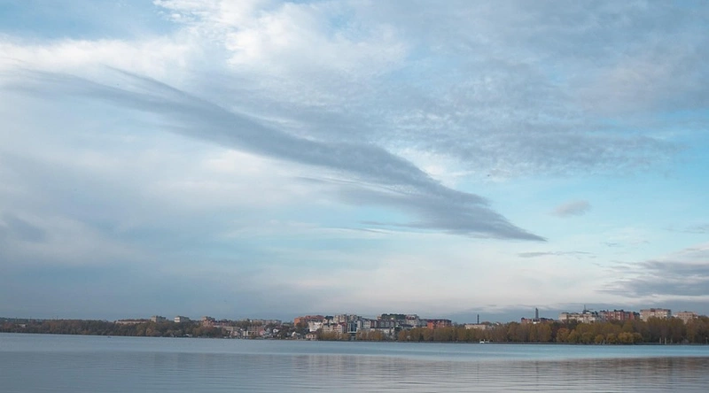 타이젬 바둑 다운로드