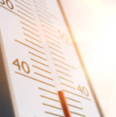 더위 먹었을때 증상