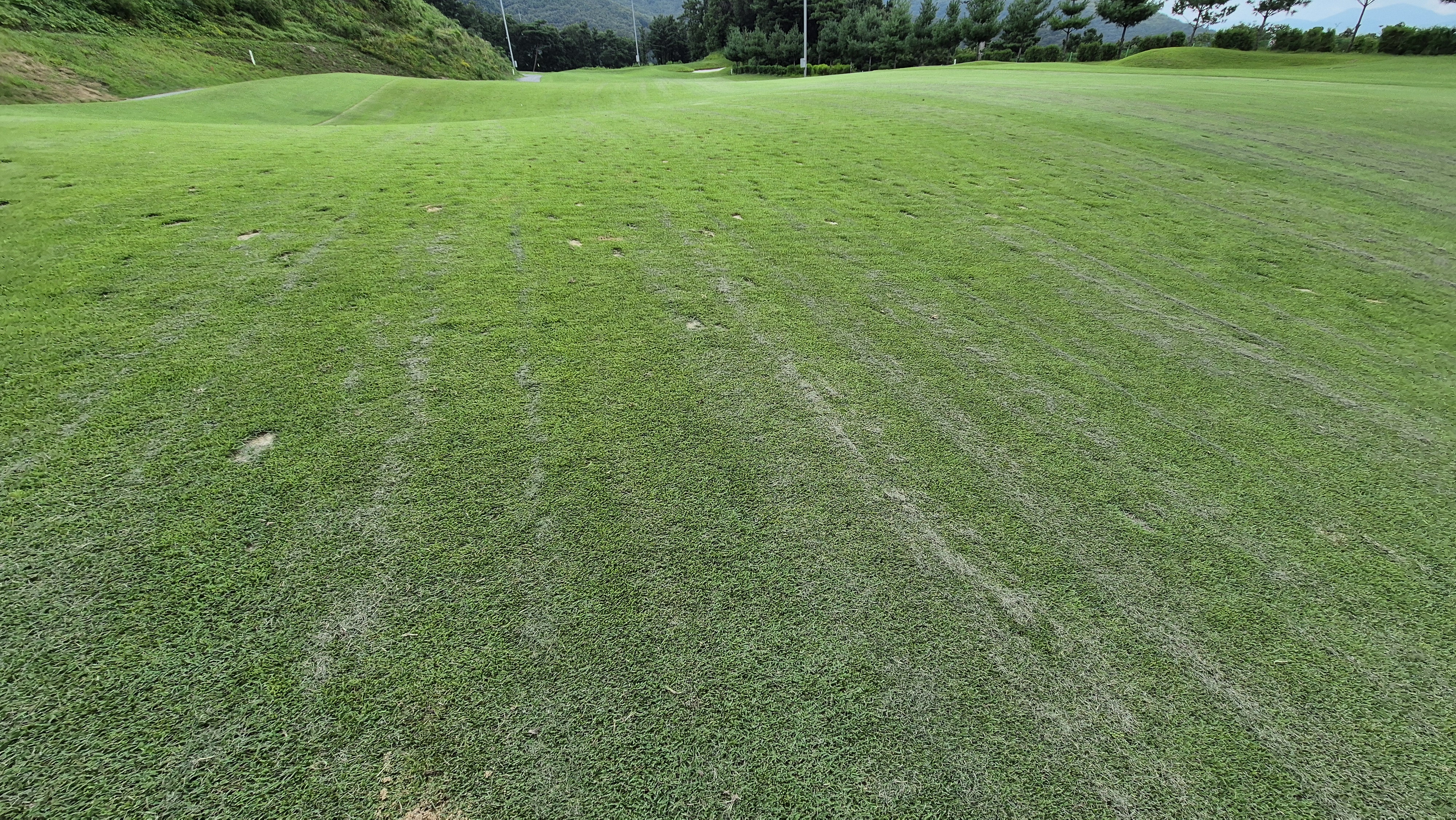 참밸리cc 라운드 후기