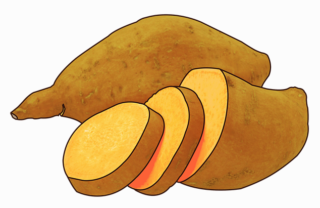 생고구마 효능 부작용 vs 찐고구마 효능 부작용