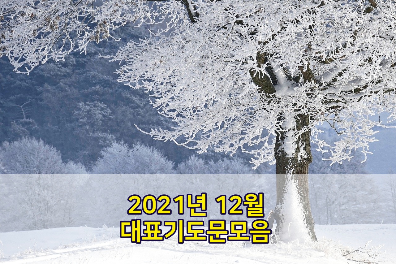 2021년 12월 대표기도문 모음