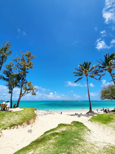 카일루아비치파크언덕