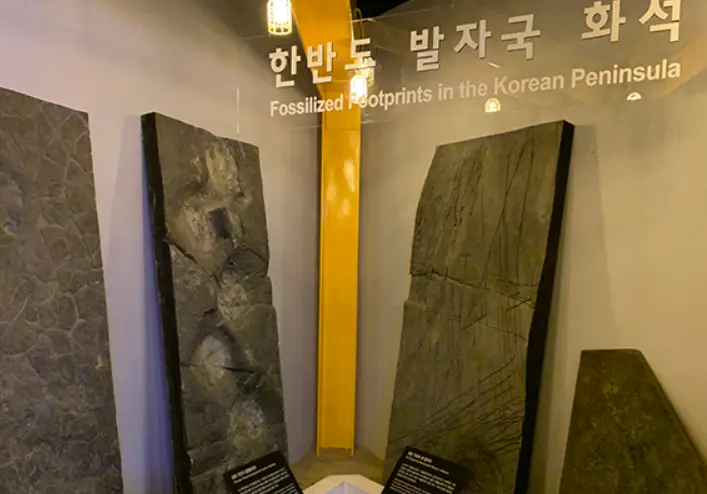 공룡 화석