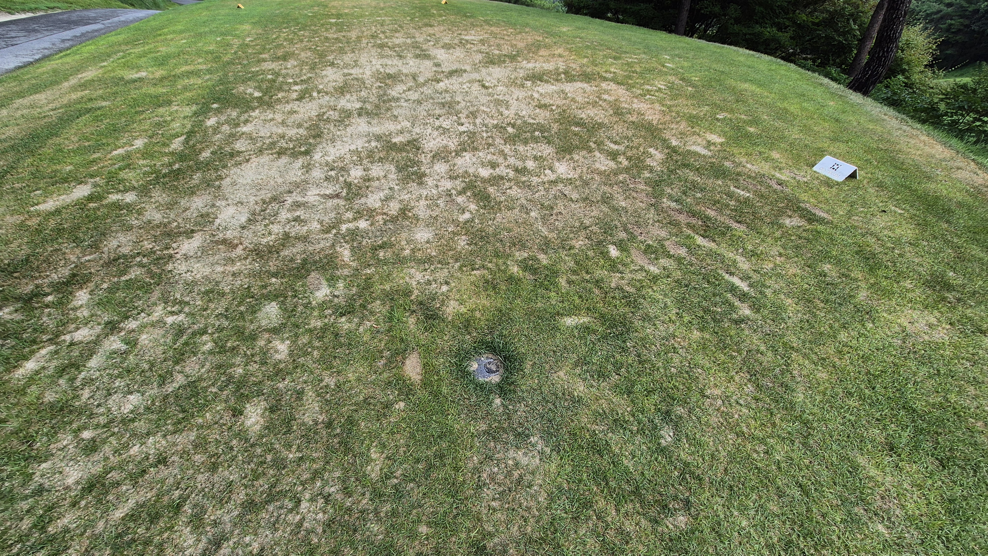 센테리움cc 스코틀랜드-웨일즈 코스 라운드 후기