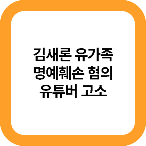 김새론 유가족, 명예훼손 혐의 유튜버 고소 메인사진