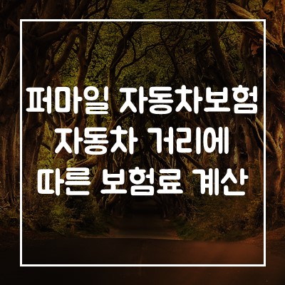 캐롯-퍼마일자동차보험-고객센터