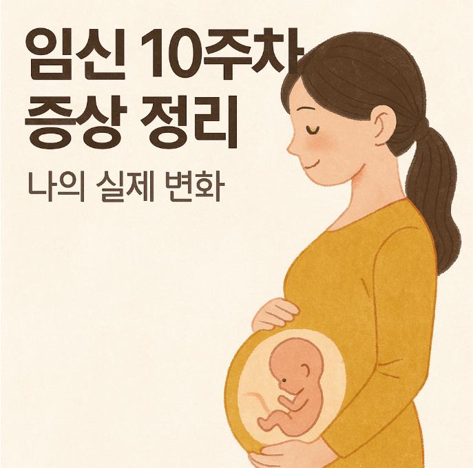 임신 10주차 증상 정리(나의 실제 변화)