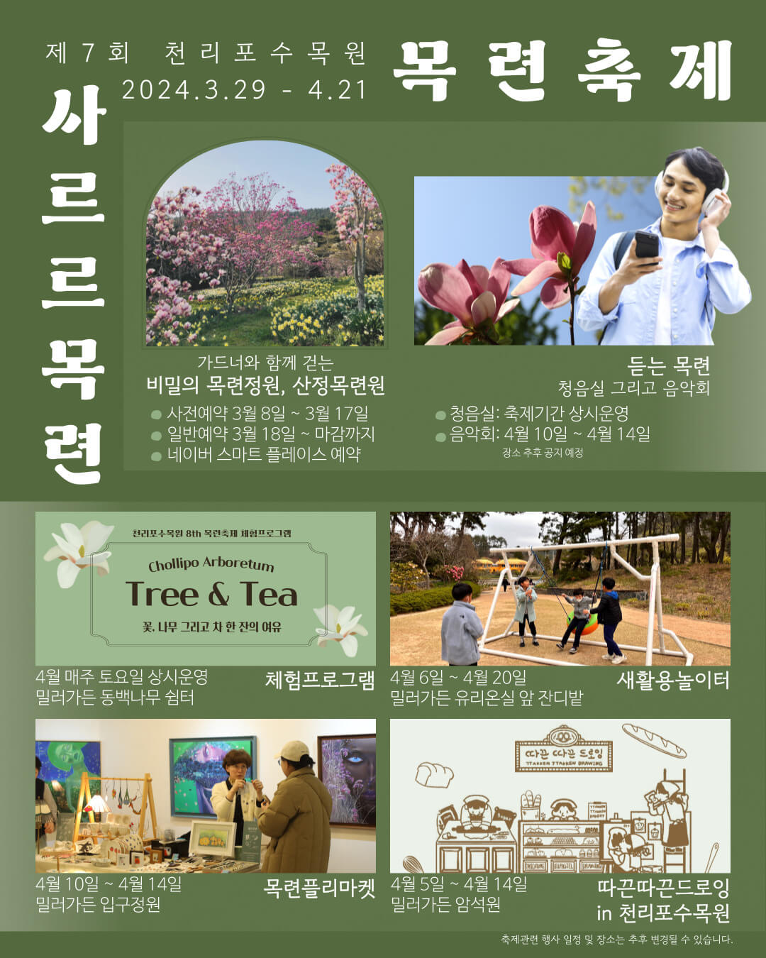 천리포수목원목련축제2024