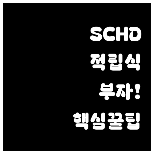SCHD 적립식 투자로 부 만드는 법..