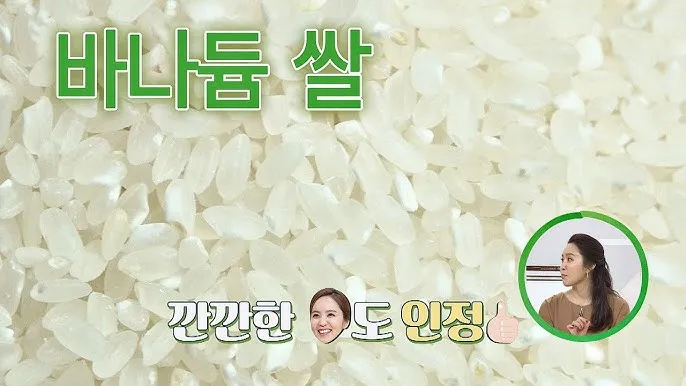 바나듐쌀 효능과 당뇨에 좋은 이유 과학적으로 분석_2