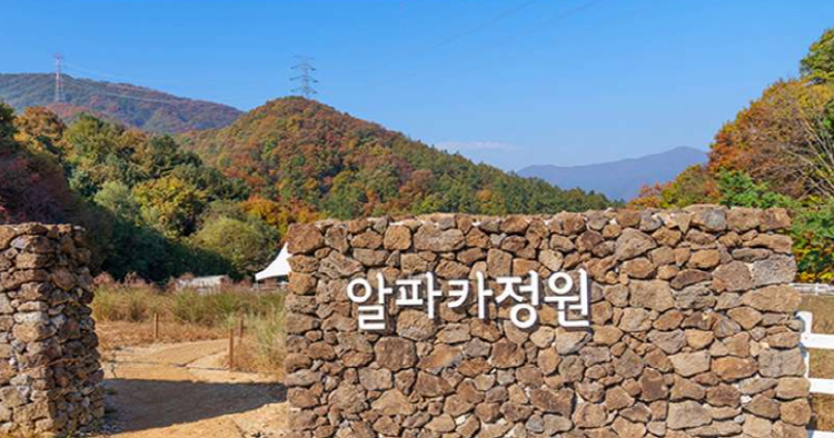 가평 양떼목장