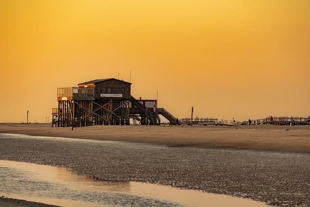 2025년 전월세 신고 의무화