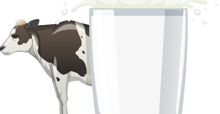 숙취해소에 도움되는 음식 우유