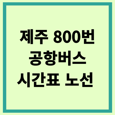 제주 800번 공항버스 시간표