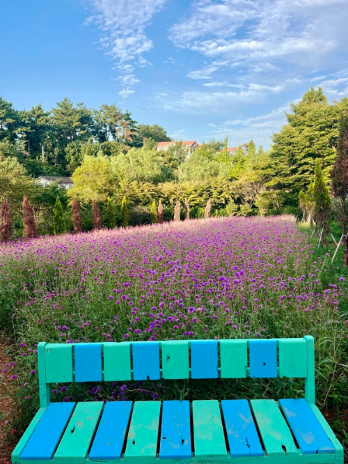 팜카밀레 허브농원 사진
