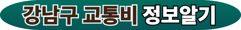 강남구 시니어 교통비 지원