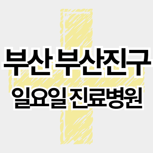 부산_부산진구_일요일진료병원_썸네일