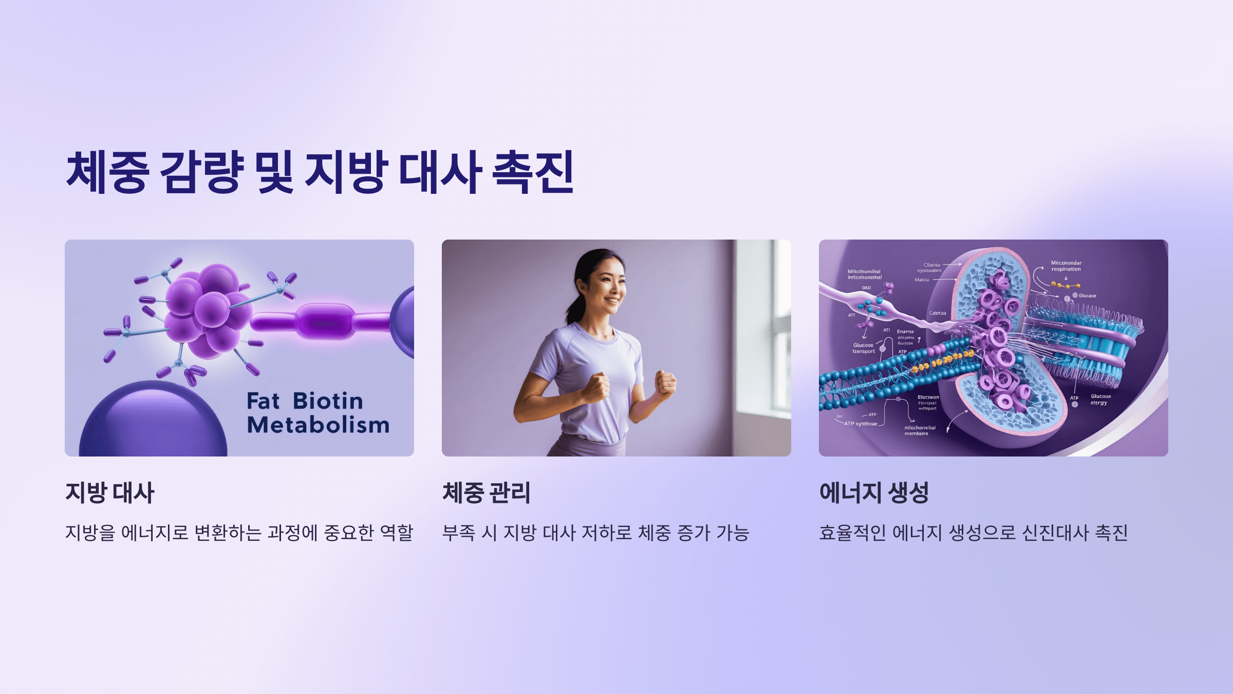 비오틴과 관련된 사진입니다.