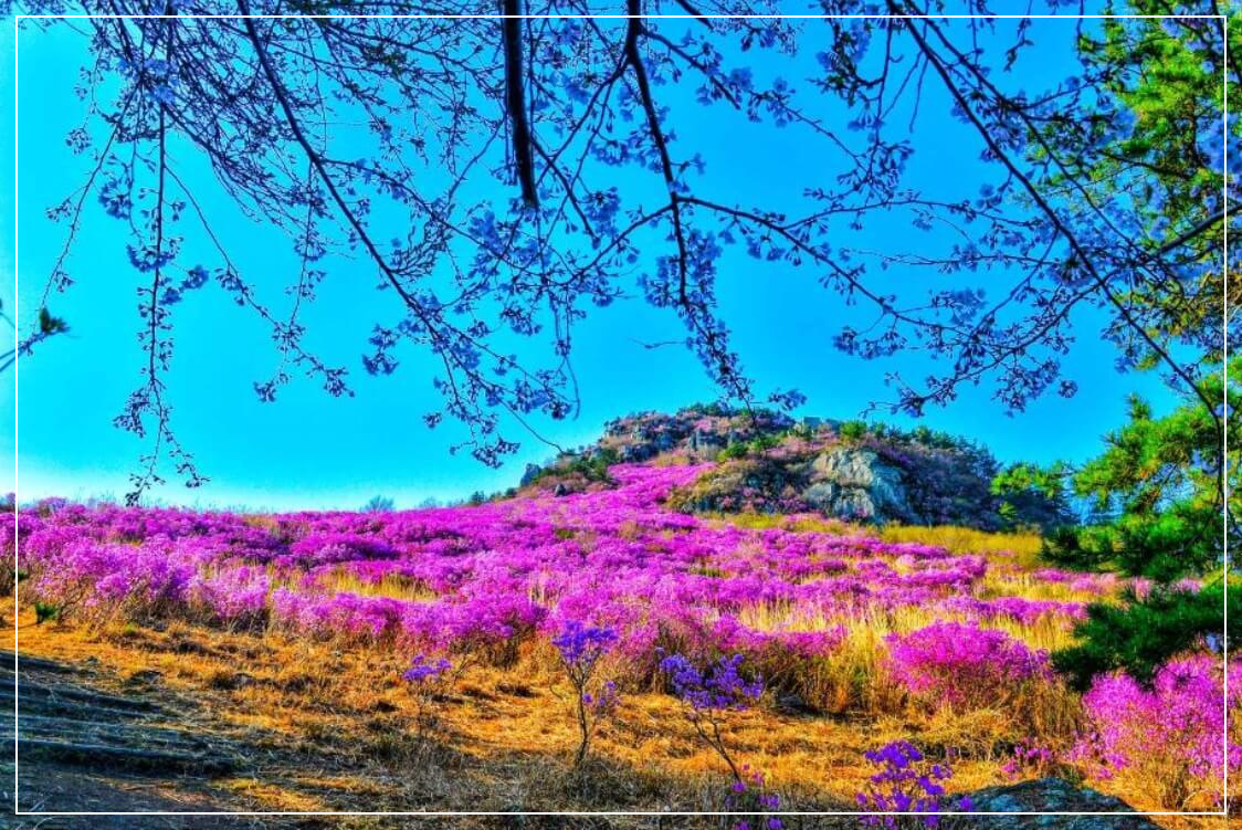 거제도 가볼만한곳 베스트10 대금산