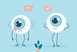 눈 건강 이미지