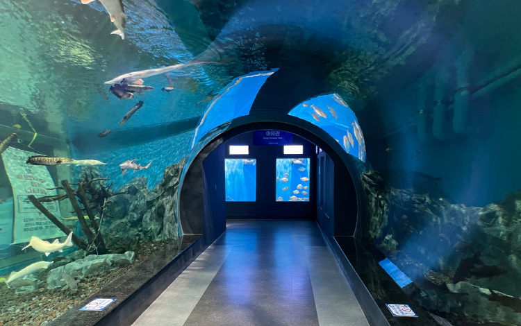 충북 아쿠아리움