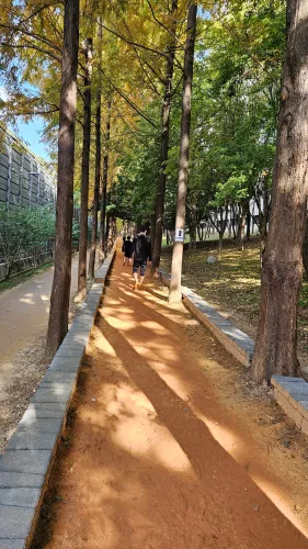 부산 화명동 맨발걷기