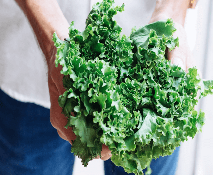 케일을 들고 있는 남성