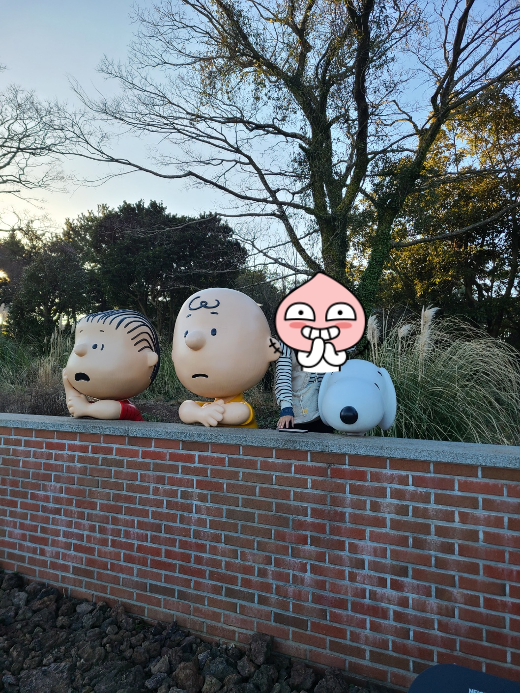 제주 스누피가든