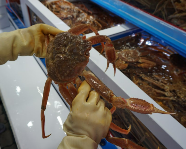 포항 구룡포 맛집 영일만회대게
