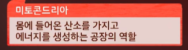 코엔자임q10