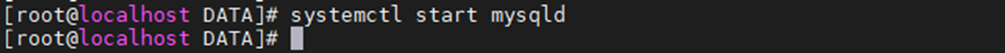 mysql 실행결과 화면