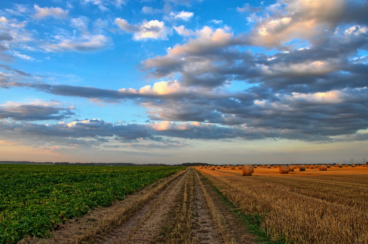 시골 멘탈 관리 관련 사진