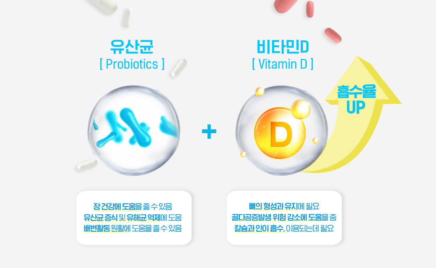 아기유산균비타민D