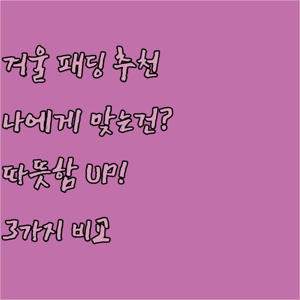 따뜻한 겨울을 위한 패딩 추천 3가지