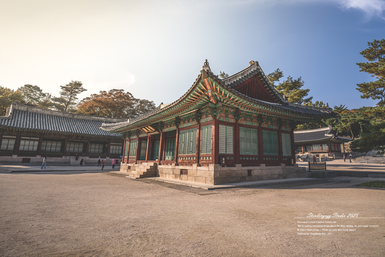 #서울 #창경궁 #궁궐 #조선 #왕