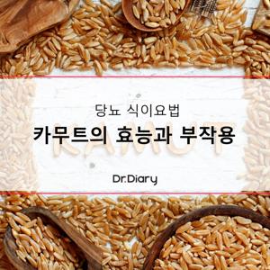 카무트란 무엇인가?