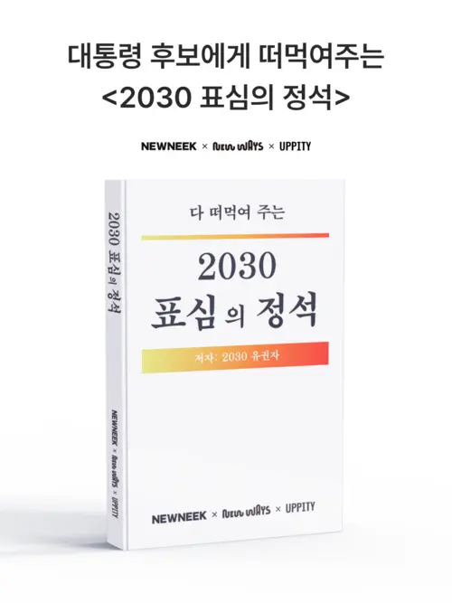 표심의 정석 표지