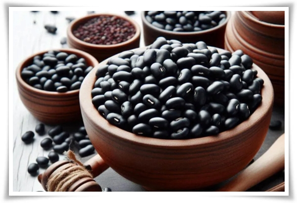 텃밭 &quot;6월, 서리태 심으세요!&quot; 내 손으로 직접 키워보는 검은 보석!