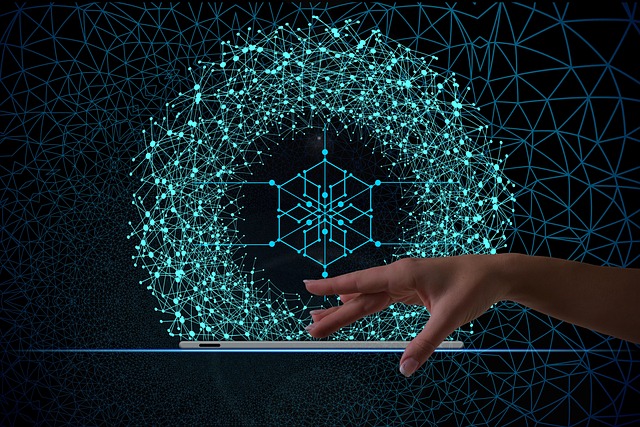 틱톡의 회로망 컴퓨터 이미지