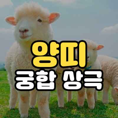 양띠 궁합 상극