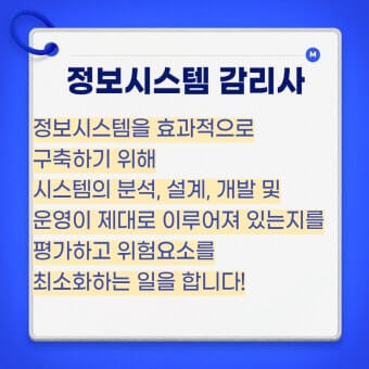 정보시스템 감리사 역할