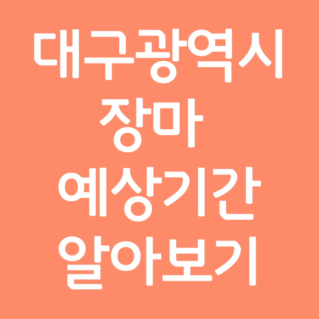 대구광역시 장마 예상기간 알아보기