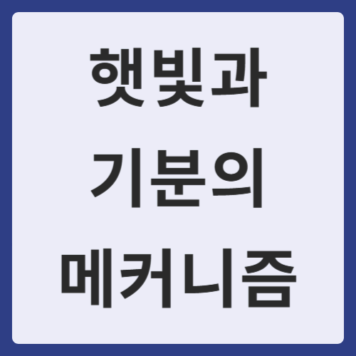 햇빛과 기분의 메커니즘