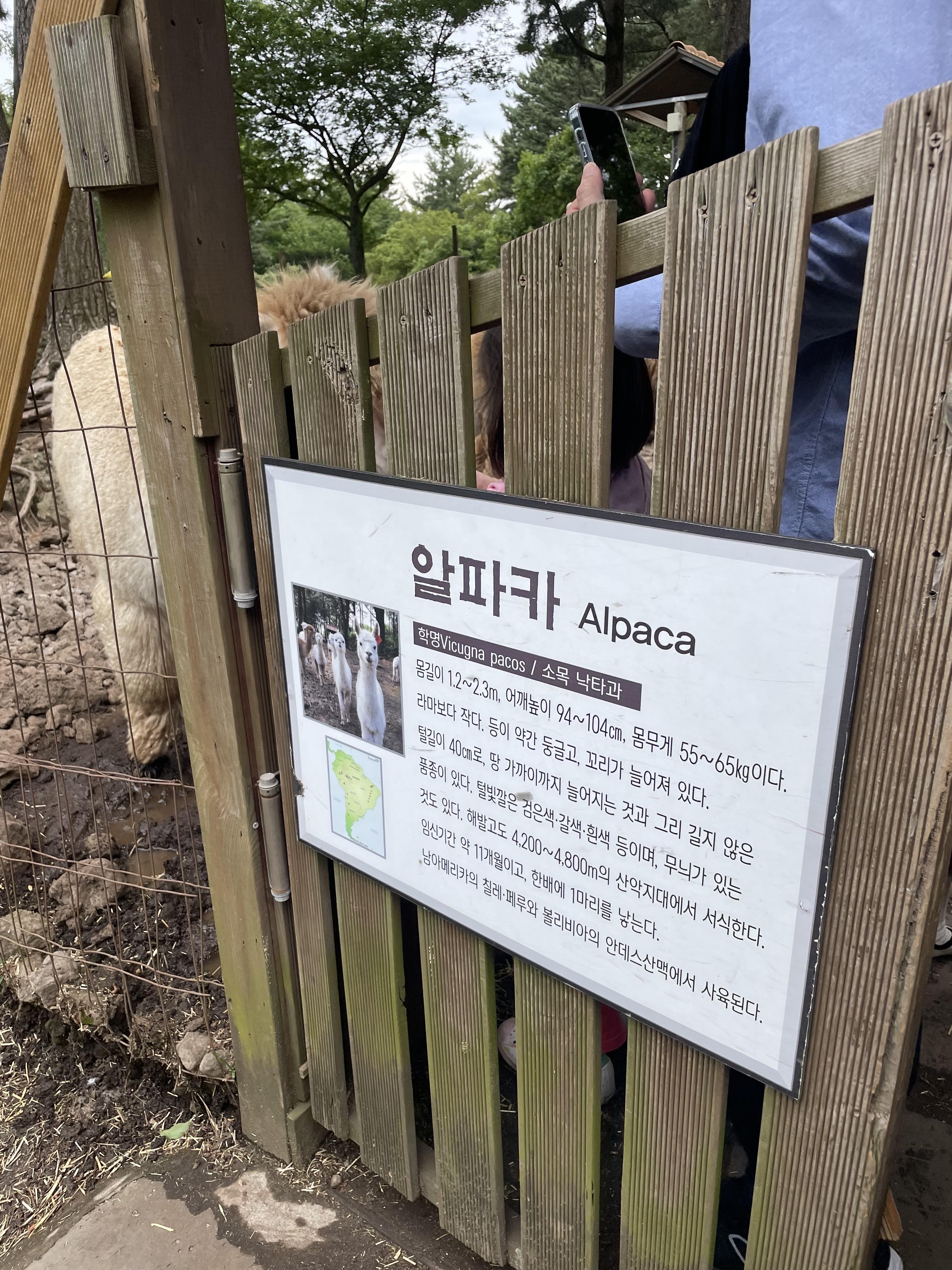 제주_먹이주기체험