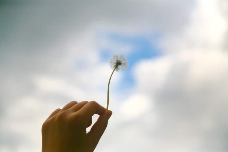 2025 최신 개인회생 부양가족 산정 기준