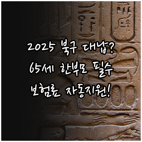 만 65세 이상 노인 장애인 한부모 ..