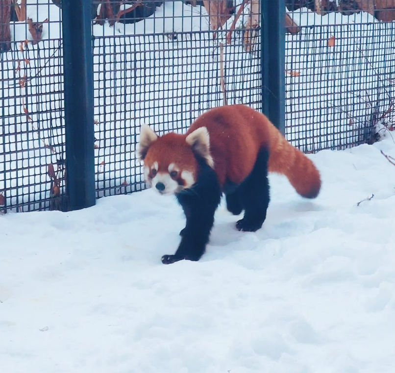 삿포로 가족여행 아이랑 가볼만한 곳 01