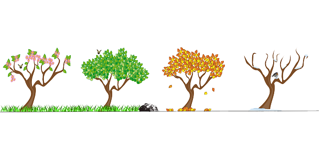 4계절 변화 및 건강관리