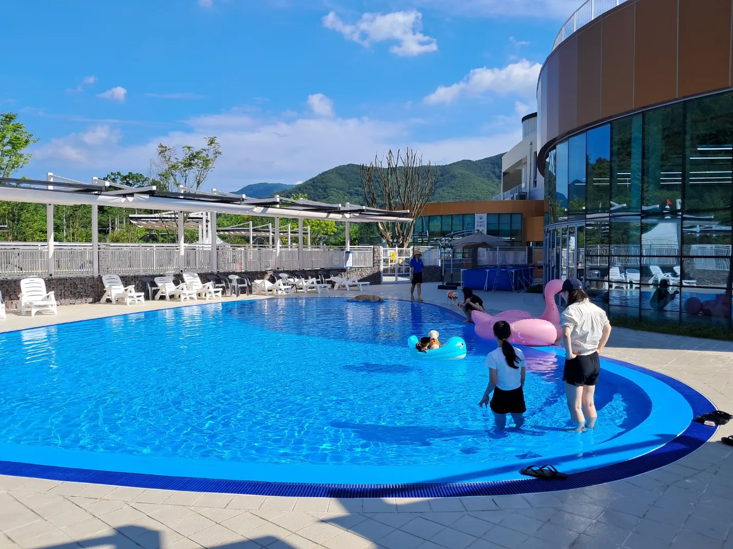 밀양 반려견 수영장